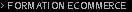 > Formation Ecommerce